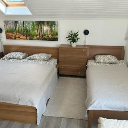 A&E Apartment ليوبليانا المظهر الخارجي الصورة