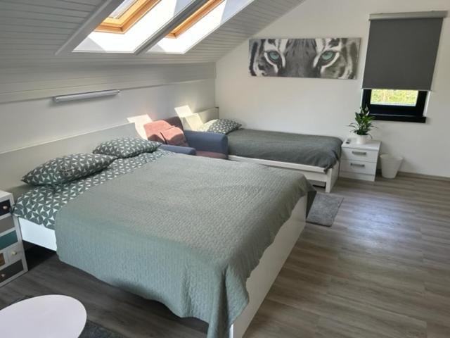 A&E Apartment ليوبليانا المظهر الخارجي الصورة